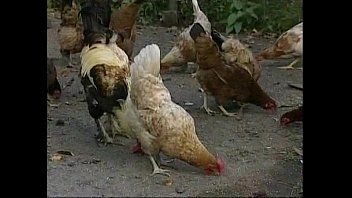 Reproducir Xxx con campesinas rusas teniendo sexo fijo en el patio de las gallinas
